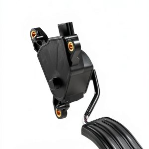 Nissan Sentra Accelerator Pedal Assembly A-Premium-0