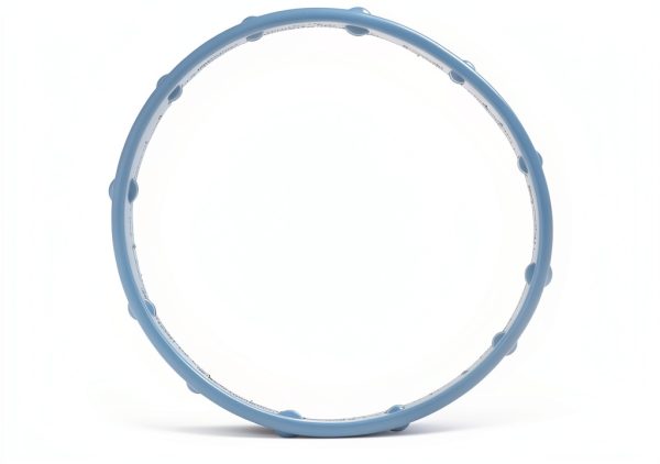 GM Genuine Parts Auto Fuel Injection Gasket-1