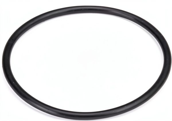 Autotecnica Fuel Pump Seal Replacement-1